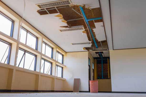 Best Water damage cleanup near me  in Valparaiso, FL