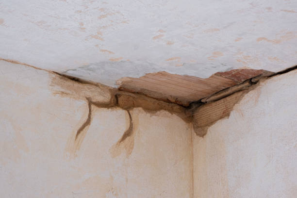 Best Local water damage restoration  in Valparaiso, FL