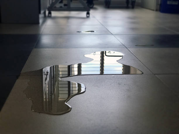 Best Water damage repair service  in Valparaiso, FL