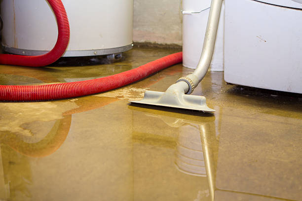 Best Fire Damage Restoration  in Valparaiso, FL