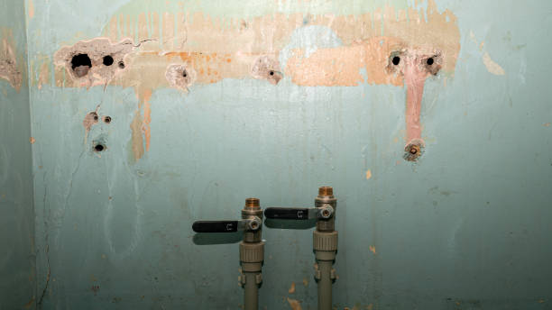 Best Carpet water damage restoration  in Valparaiso, FL