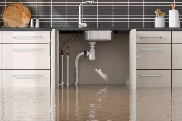 Best Flood restoration services  in Valparaiso, FL
