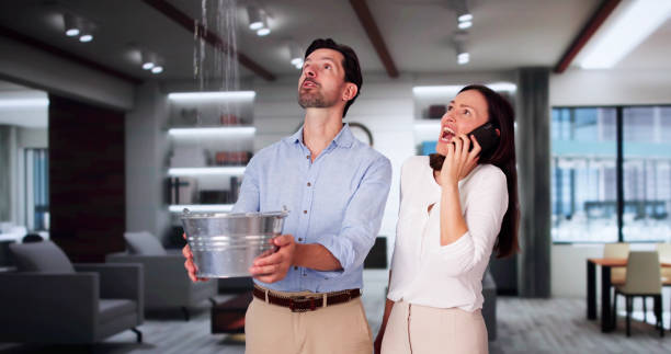 Best Mold removal after water damage  in Valparaiso, FL