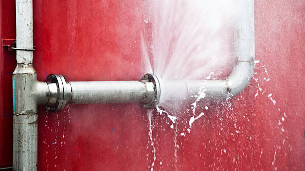 Best Basement water damage restoration  in Valparaiso, FL